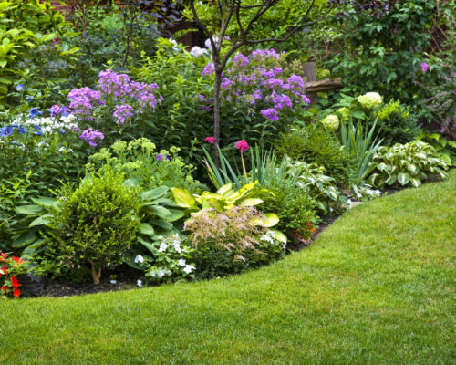 Lush,Landscaped,Garden,With,Flowerbed,And,Colorful,Plants